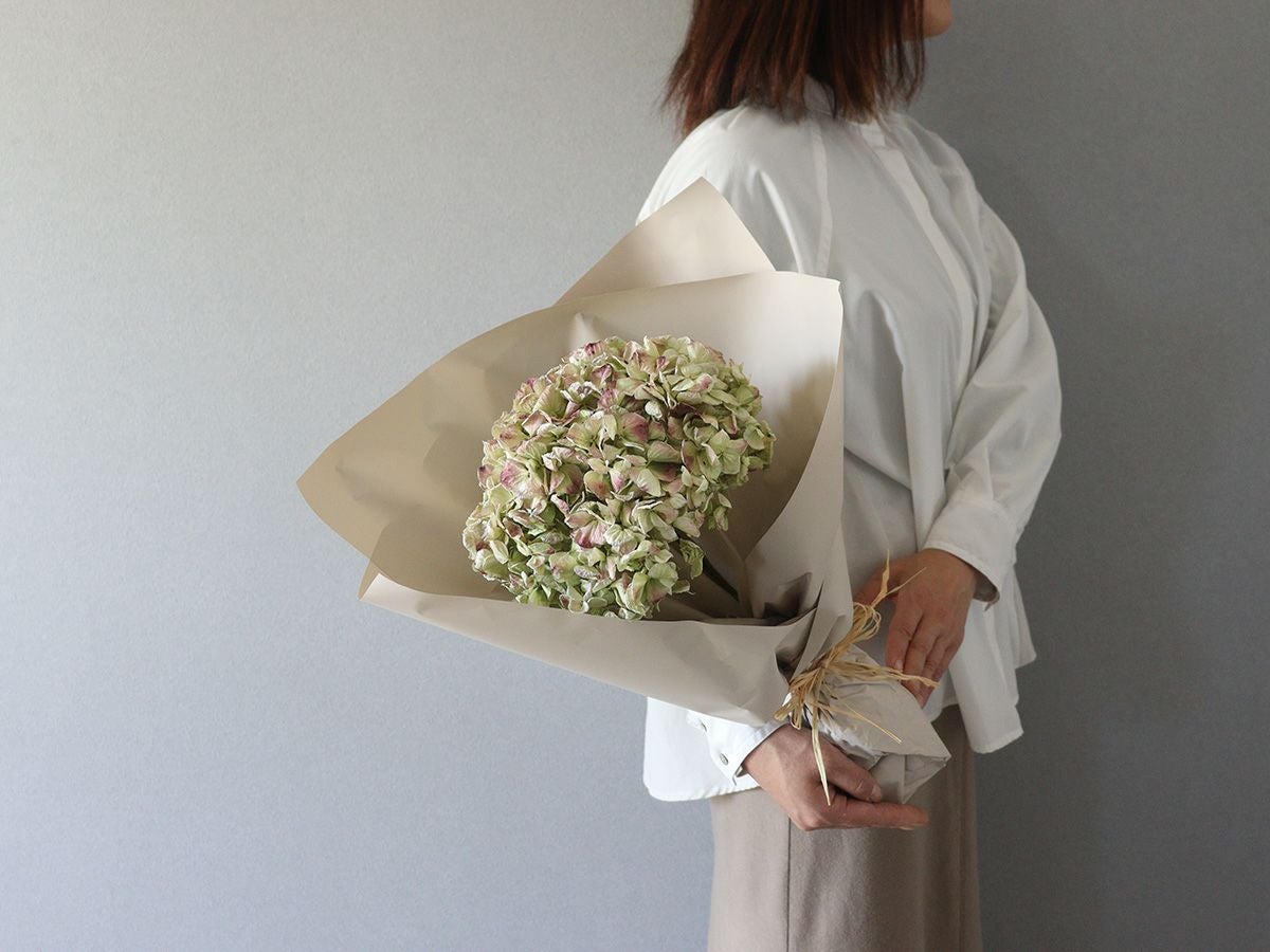 ドライフラワー | 世界の花屋